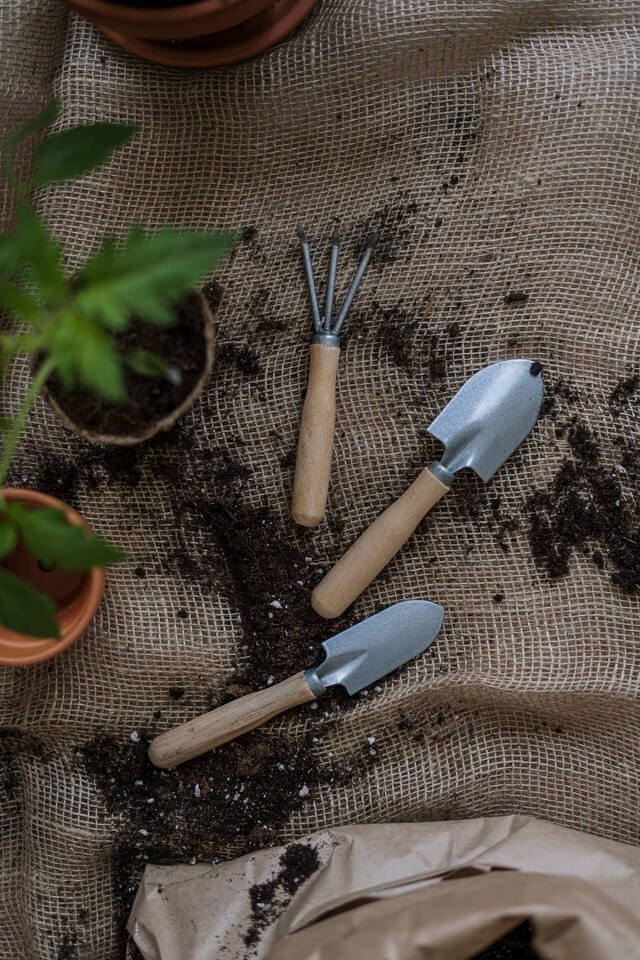 gardening-tools A couple of garden tools sitting on top of dirt.